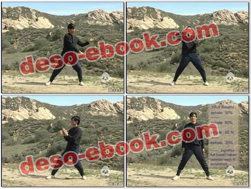 chi kung 2