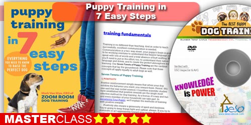 Puppy Training
