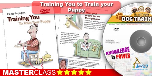 Puppy Training
